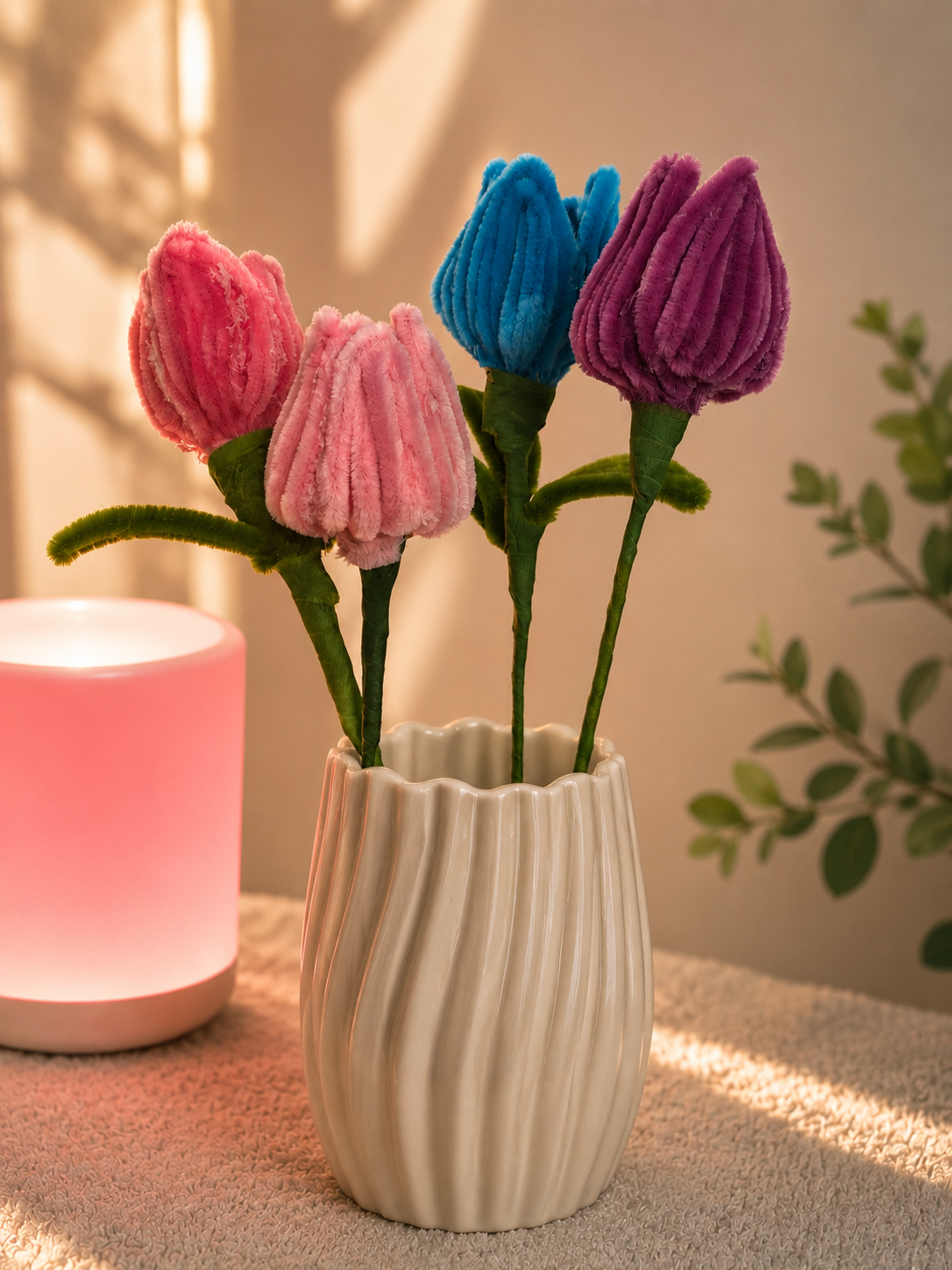 Tulip flowers